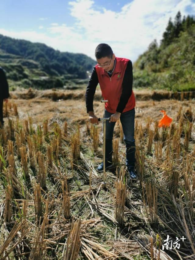 技術人員深入田間地頭開展土壤取樣、分析。通訊員供圖