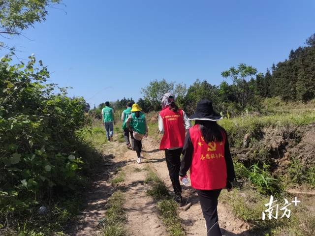 豐陽鎮(zhèn)的440余名黨群志愿者堅守先鋒崗，守護豐陽的綠水青山。