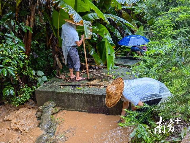 為保障陂嶺近三分之二村民用水，陂嶺村新老干部冒雨前往水源點(diǎn)解決集中供水問題。