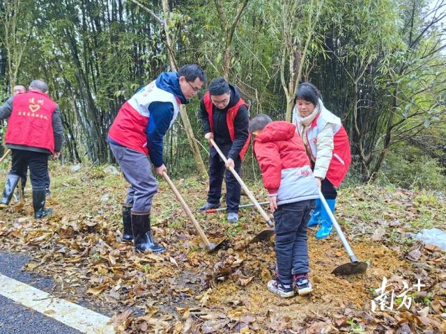 植樹現(xiàn)場。